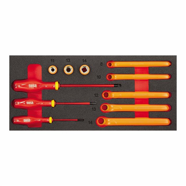 Usag 519 M 098Hyb11_L Ass.In Foam Module