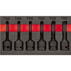 Usag 519 M 233Mntxc6 _S_S  Ass. Foam Module