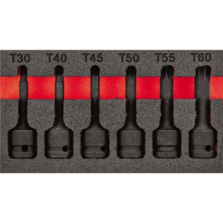 Usag 519 M 233Mntxc6 _S_S  Ass. Foam Module