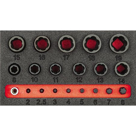 Usag 519 M 458S20_S  Assort.In Foam Module