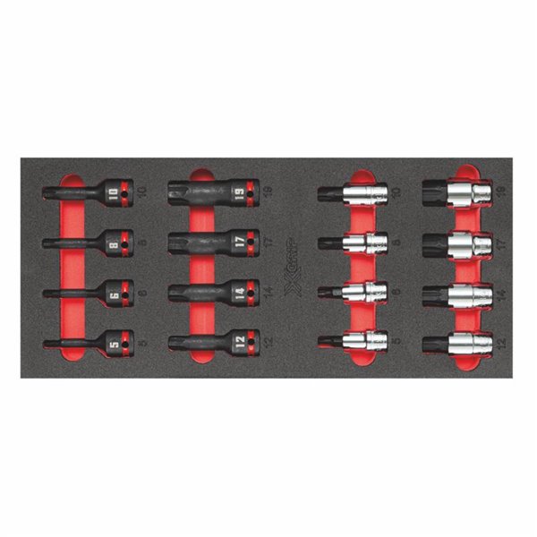 Usag 519 M 234X L Assort.In Foam Module