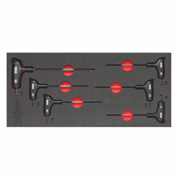 Usag 519 M 280Hxtx L Assort.In Foam Module