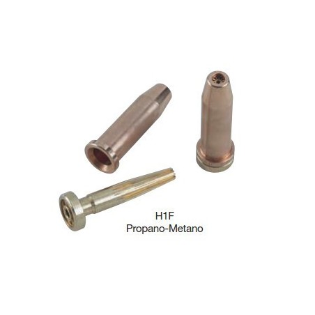 PUNTE TAGLIO H1F PROPANO FRO 0550012 W000294063  25 mm